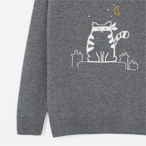 Sweater for the wise child